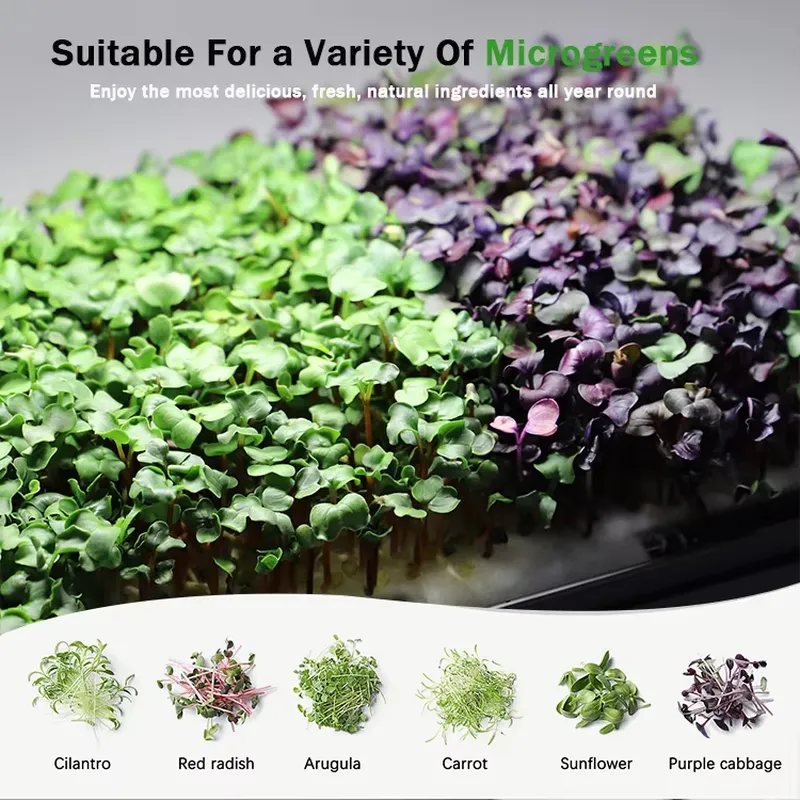 クリスマスギフトアイデア DIY 家庭用吊り下げ式自動給水ス - Smart Garden Ideas のレビューと価格