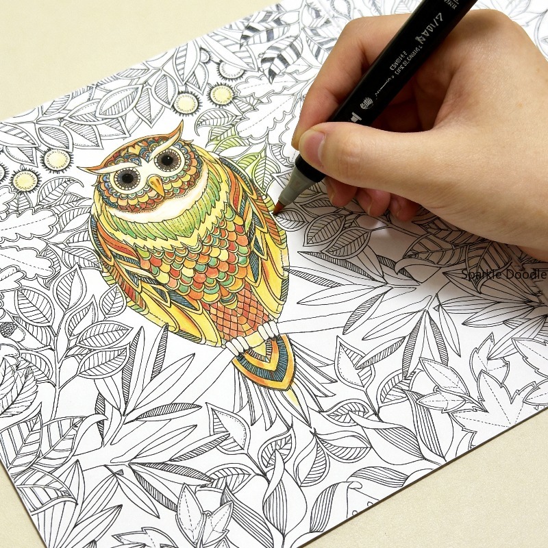 大人向け瞑想減圧落書きブック、シークレットガーデンの花と鳥の - Garden Journal Planner のレビューと価格