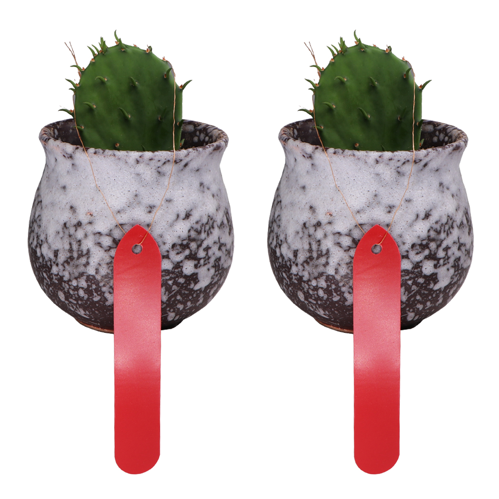 穴のある再利用可能な防水植物タグ,庭の苗床用のプラスチック製 - Garden Journal Planner のレビューと価格