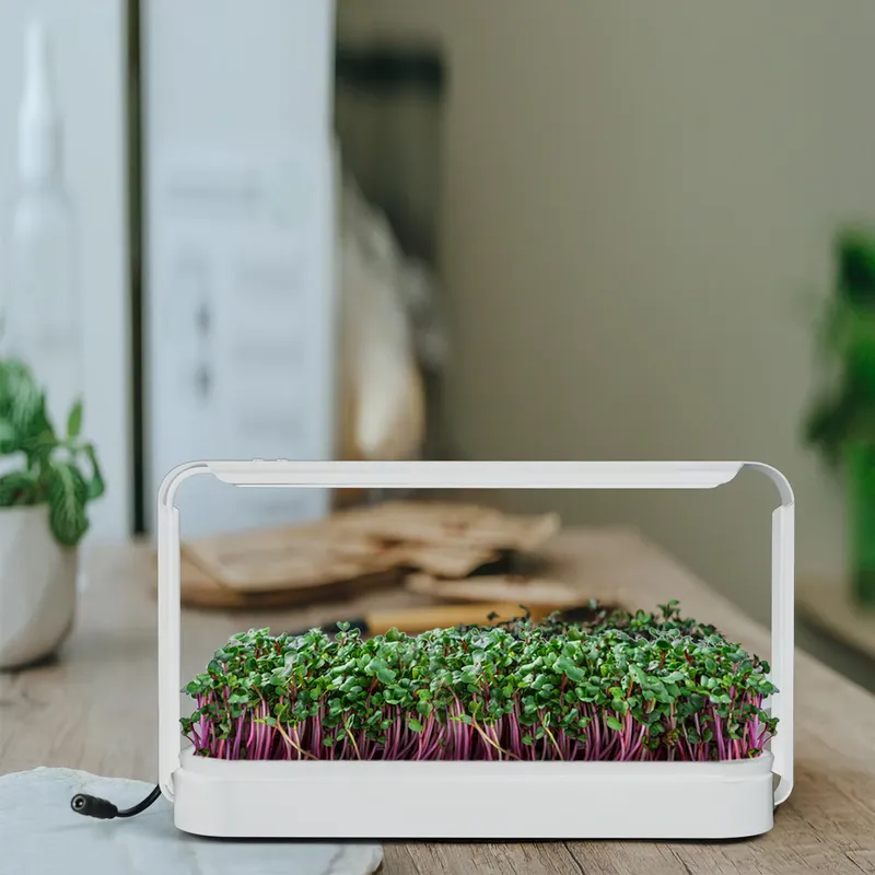 室内ハーブガーデン育成ライト温室キット ギフトアイデア LE - Smart Garden Ideas のレビューと価格
