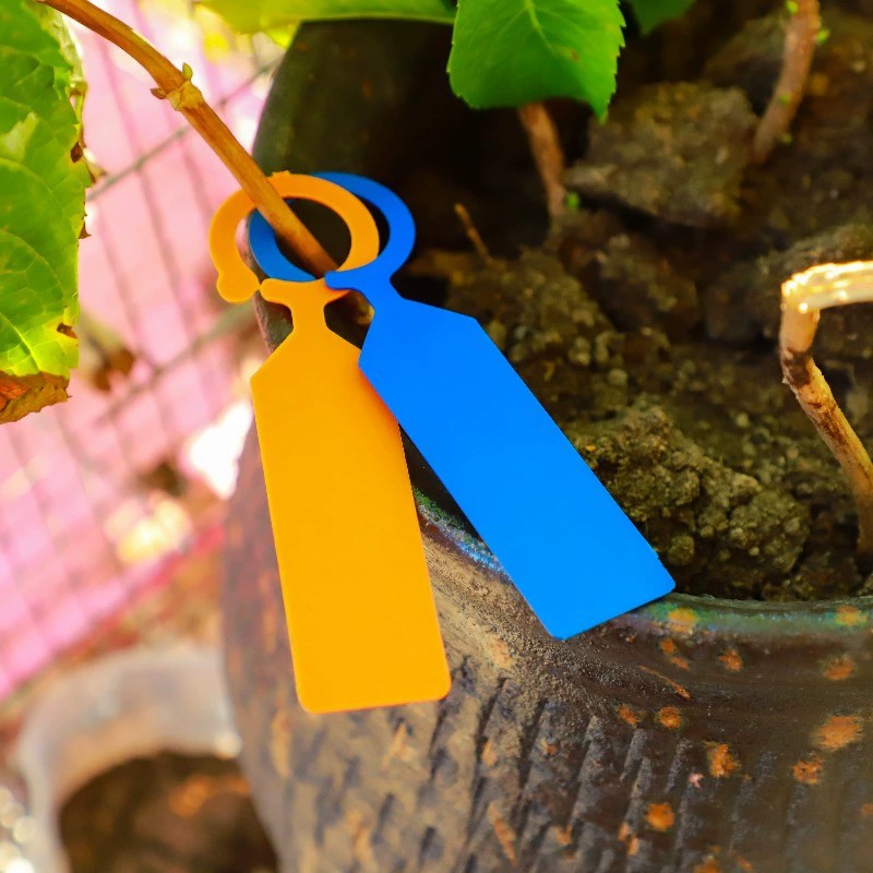 100 個リング型植物タグプラスチック防水吊り下げラベルブド - Garden Journal Planner のレビューと価格